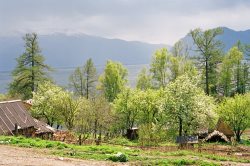 Состоялось собрание жителей села Яйлю и участников ТОС «Заповедное село»