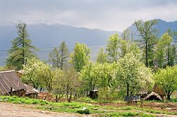 Состоялось собрание жителей села Яйлю и участников ТОС «Заповедное село»