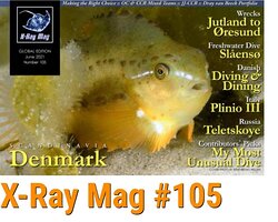 X-Ray Magazine 