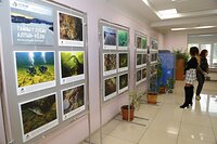 «Тайны глубин Алтын-Кёля» увидят в Правительстве Республики Алтай