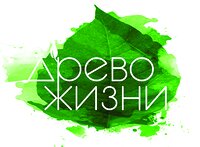«Древо жизни» подводит итоги регионального этапа