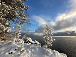 Каким было начало нового фенологического года в Алтайском заповеднике?