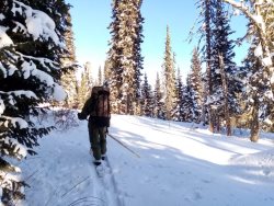 Заметки госинспектора. Учёты