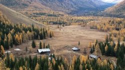 170 тысяч за 10 дней или об интересе общества к заповедной теме