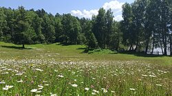 В Прителецкой части Алтайского заповедника наступило лето