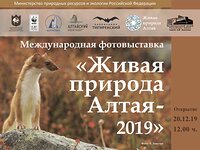 «Живая природа Алтая» вновь в залах  Национального музея Республики Алтай