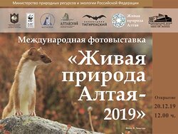 «Живая природа Алтая» вновь в залах  Национального музея Республики Алтай