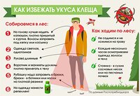 Как избежать укусов иксодовых клещей?!