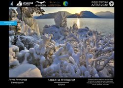 Награждение финалистов X Международного проекта «Живая природа Алтая-2020» пройдёт 29 января 