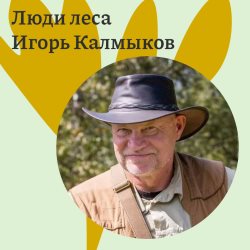 Прямой эфир с директором Алтайского заповедника