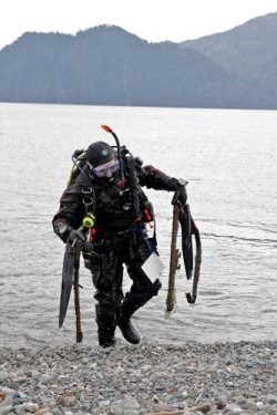 Акции очистки дна Телецкого озера