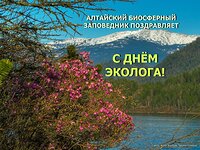 С Днём эколога!