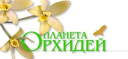 О Коста-Рике, Мексике и Алтайском заповеднике