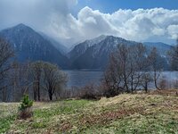  Фенологические заметки. Оживление весны