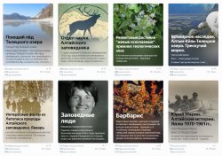 Авторы блога Алтайского заповедника отмечены Почётной грамотой