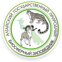 Обновление на сайте