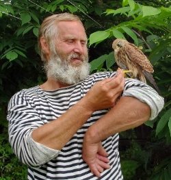 Несколько дней с пустельгой....