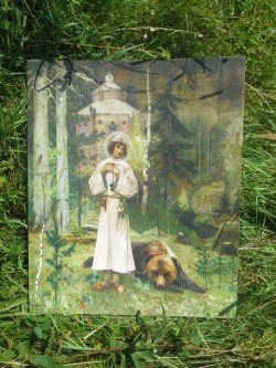 На сайте появилась виртуальная фотовыставка