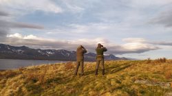 На страже земель заповедных