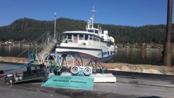 «Зелёные Роботы – Пионеры Алтая»