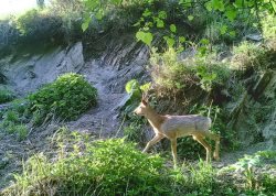 Месяцеслов. Август