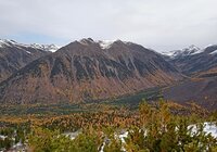Фенологические заметки. «Предзимье» в Алтайском заповеднике