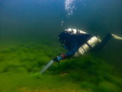 Осенний дайвинг на Телецком озере