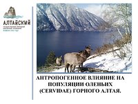 Териолог Алтайского заповедника выступил с докладом на международной конференции в Кирове.