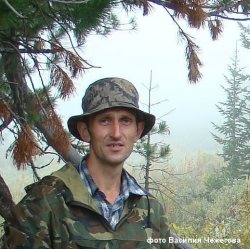 Весна-2016 в Алтайском заповеднике: медведи вышли позже, маралы сбросили рога