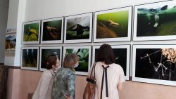 В национальной библиотеке Республики Алтай к Всемирному дню окружающей среды открыта фотовыставка 