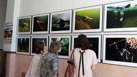 В национальной библиотеке Республики Алтай к Всемирному дню окружающей среды открыта фотовыставка 
