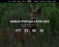 Объявлен старт конкурса фотографии «Живая природа Алтая-2023»