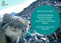 Поздравляем с наступающим Новым 2023-м годом!