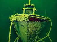 Подводно-воздушная экскурсия по заповедным берегам Телецкого озера. Часть 2