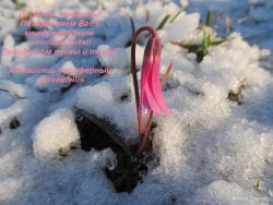 С праздником весны!