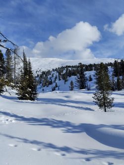 В Алтайском заповеднике проходят зимние маршрутные учёты