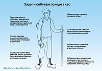 Жизнь заповедного кордона Байгазан. «А клещи уже проснулись!»