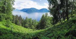 Алтайский заповедник в «Заповедном Искусстве»