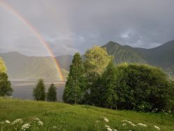 Фенологические заметки. Итоги июня