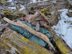 Обнаруженная госинспектором спрятанная резиновая лодка помогла задержать две группы нарушителей заповедного режима