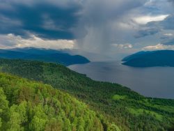 21 марта - Международный день лесов