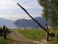 В центральной усадьбе Алтайского заповедника появился новый  забор из плавника