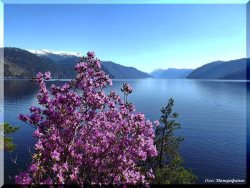 ОРНИТОЛОГИЧЕСКИЕ НОВОСТИ С УЧЕТНОГО МАРШРУТА НА ЯЙЛИНСКОЙ ТЕРРАСЕ И НЕ ТОЛЬКО. Выпуск 4. 2017
