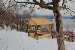 В заповедном Яйлю проходит конкурс на лучшую кормушку