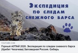 Экспедиция по следам снежного барса