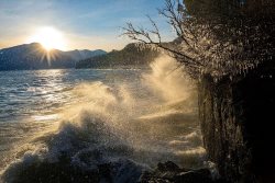 Фенологические заметки. Угрюмый ноябрь