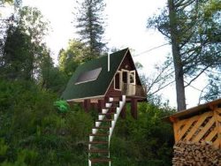 Local community grant program 