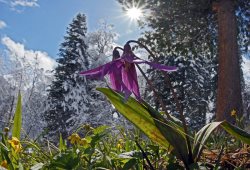 Отобраны лучшие фотоработы