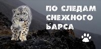Фильм Ивана Усанова "Экспедиция по следам снежного барса" - победитель XXIV Московского кинофестиваля ВЕРТИКАЛЬ-2021