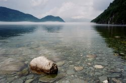 Виртуальный кинотеатр Алтайского заповедника. 